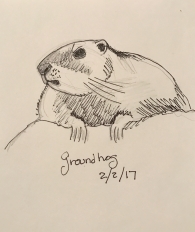 drawing of a groundhog