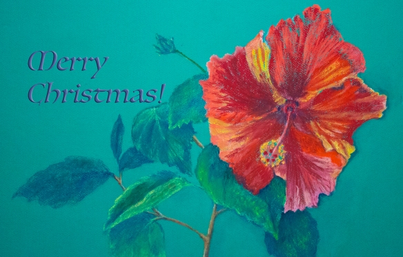 Christmas card of hibiscus bloom